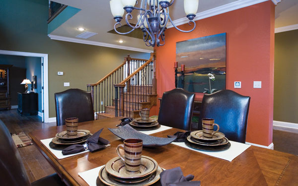 bold wall in dining room