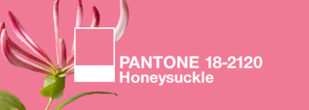 pantone 2011 color of the year