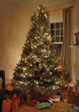 Christmas tree featured in a beautiful room of a newly built house plan