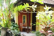 tropical garden and patio thumbnail