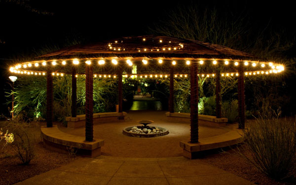 beautiful garden at night with lights