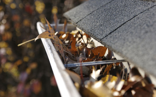 house gutter full of leaves ready to be cleaned