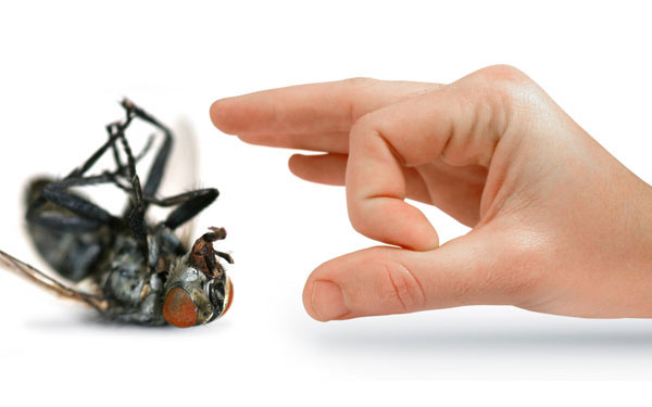 household pest being flicked by finger