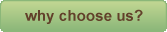 Why Choose Us? link