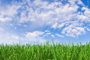 Article: Clean Air Quality for Your Home