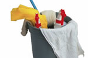 Article: Spring Cleaning
