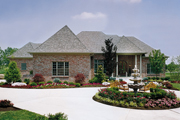 Article: Landscaping With Local Plants