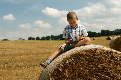 boy reading outdoors on hay boy reading outside