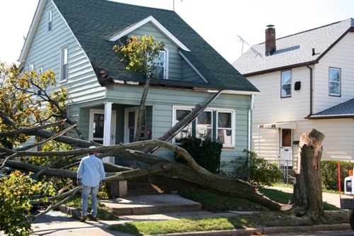 damaged_house_from_tree