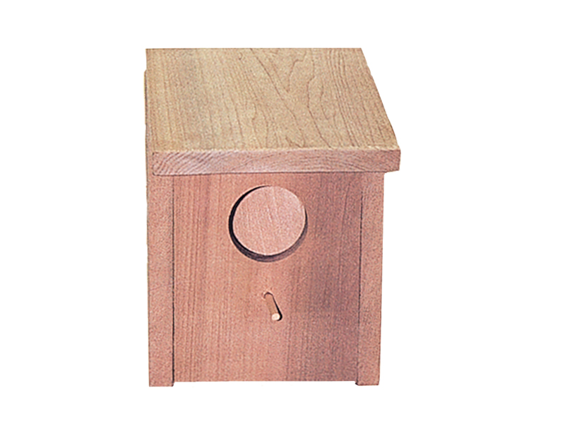 Building Plans Front of Home Blue Bird House
