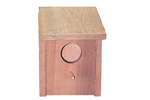 Square shaped wood blue bird house