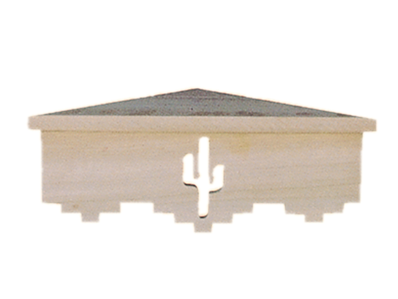 Southern Plan Front of Home Corner Shelf with Cactus