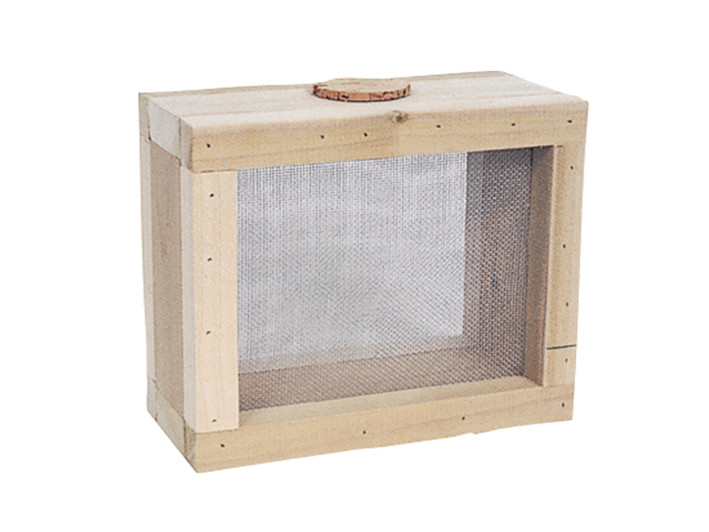 Building Plans Front of Home Children's Bug Keeper