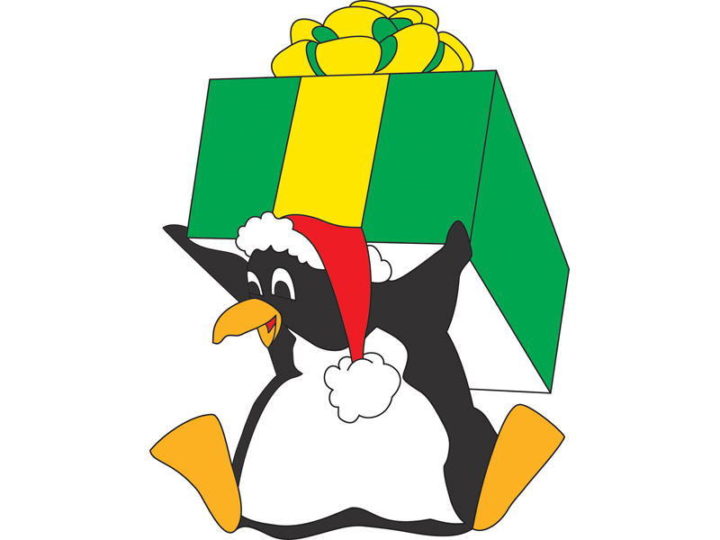 Building Plans Front of Home Penguins with Box