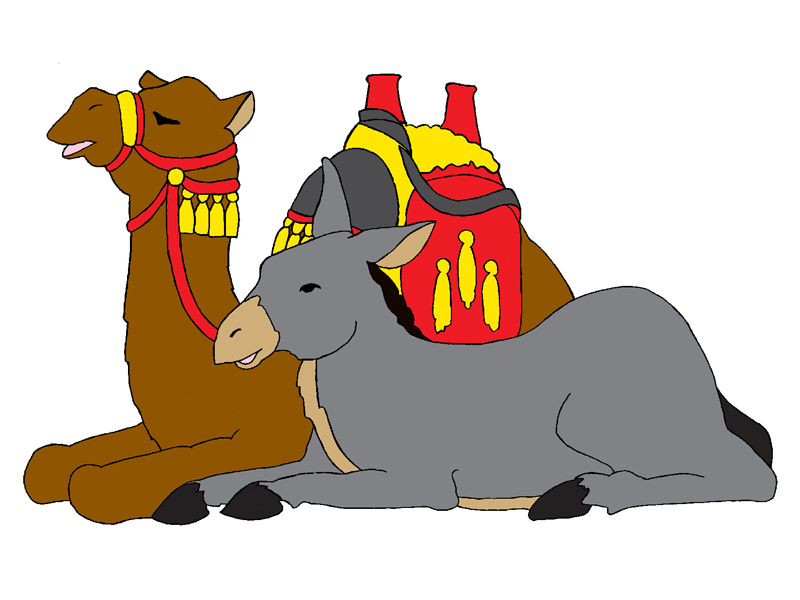 Building Plans Front of Home Camel/Donkey