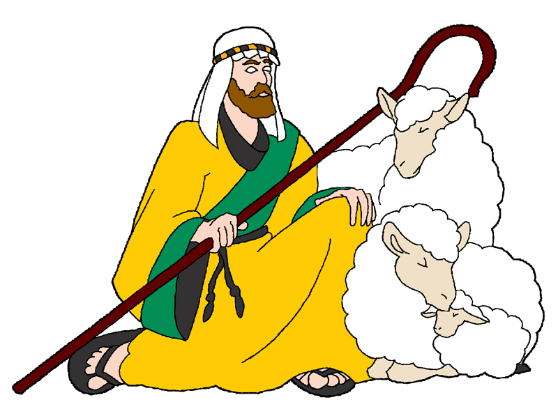 Building Plans Front of Home Shepherd with Sheep