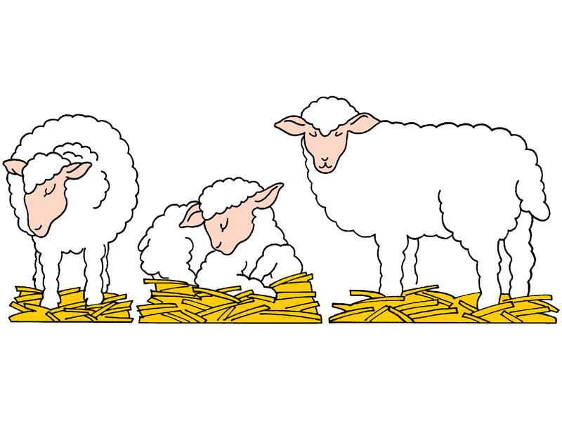 Building Plans Front of Home Sheep - House Plans and More