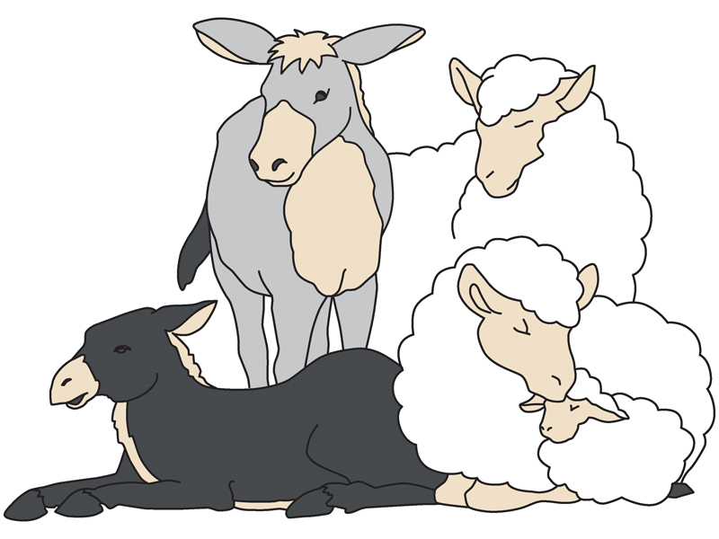 Building Plans Front of Home Nativity Animals