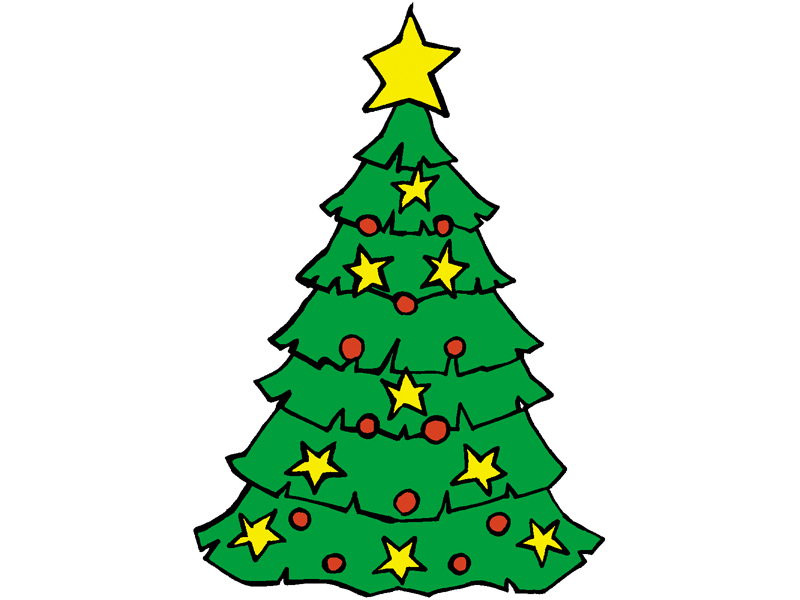 Traditional Plan Front of Home Christmas Tree