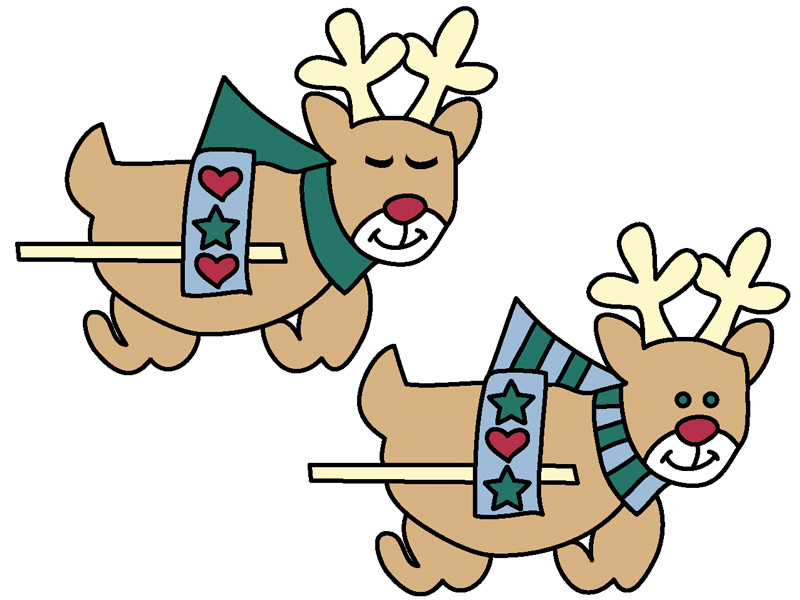 Modern Plan Front of Home Country Reindeer