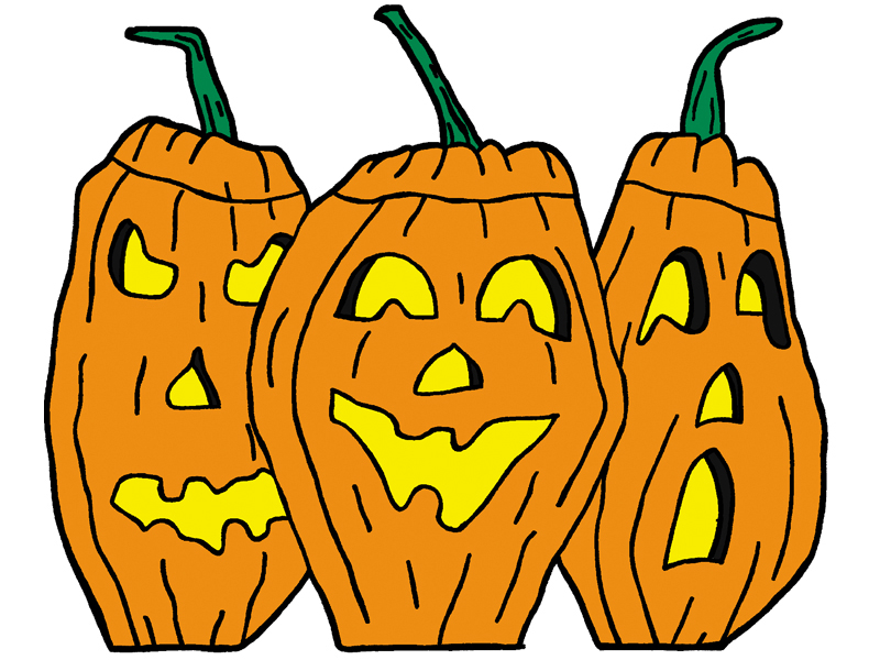 Country Plan Front of Home Pumpkin Patch