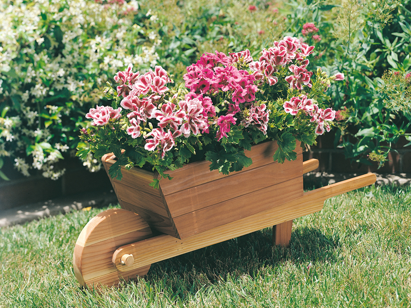 Sunbelt Home Plan Front of Home Wheelbarrow Planter
