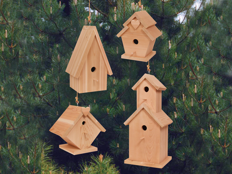 European Plan Front of Home Birdhouse Village