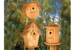 Birdhouse Village II includes three unqie birdhouses all with a different shape and size