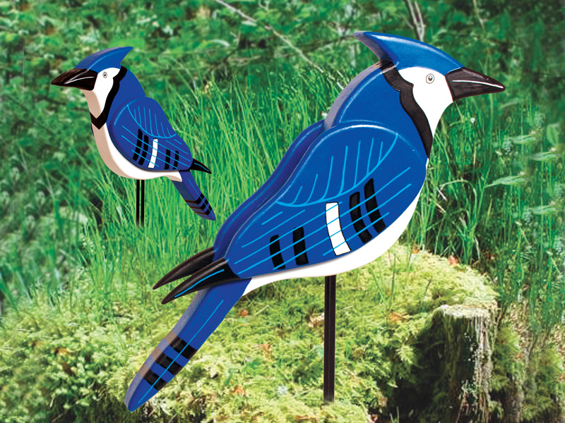 Building Plans Front of Home Layered Big 3D Blue Jay