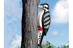 Big 3D woodpecker is a great pattern for attaching to a tree