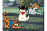 Three cute cowboy cat yard art patterns 