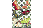 Six different styles of moths can be painted and displayed in a garden or on a trellis 