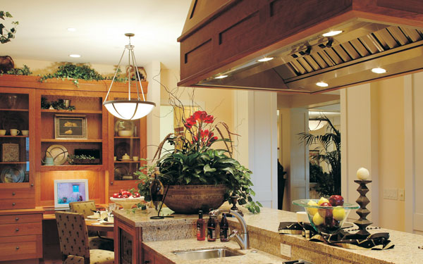 luxury kitchen with house plants