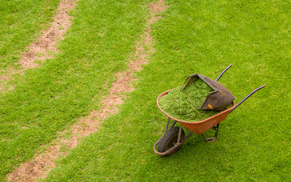 wheelbarrow with grass clippings