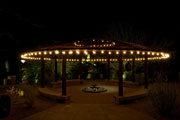 garden at night with festive lights