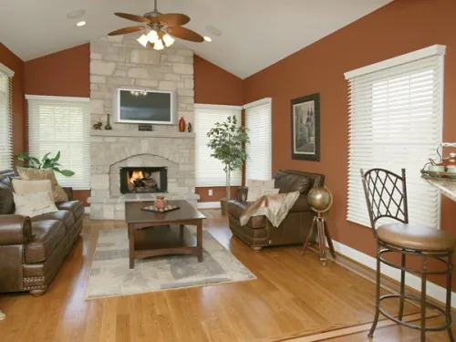 Traditional Home Ceiling