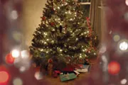 A Christmas tree bright with white lights