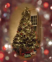 A Christmas tree bright with white lights