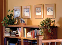 Framed artwork above bookshelf