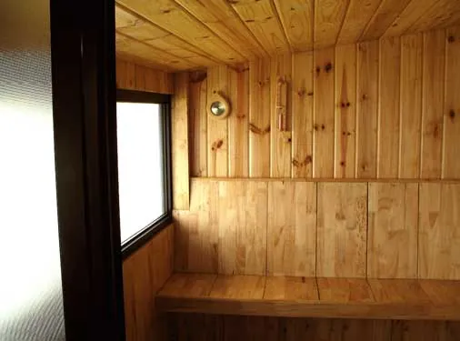 sauna with window