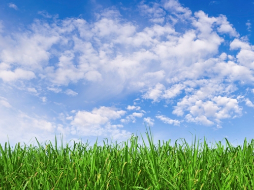 clean air with blue sky and grass