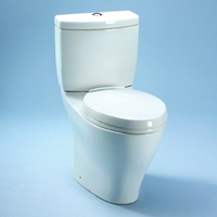 Aquia Dual Flush Toilet