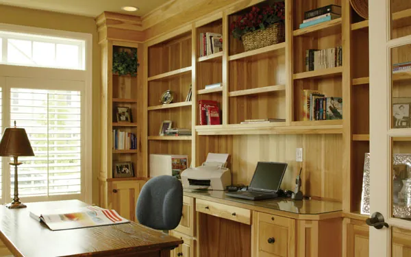 bookcases in a home office
