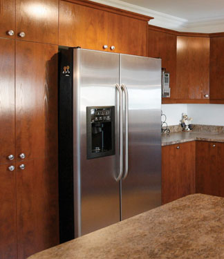 kitchen with new refrigerator
